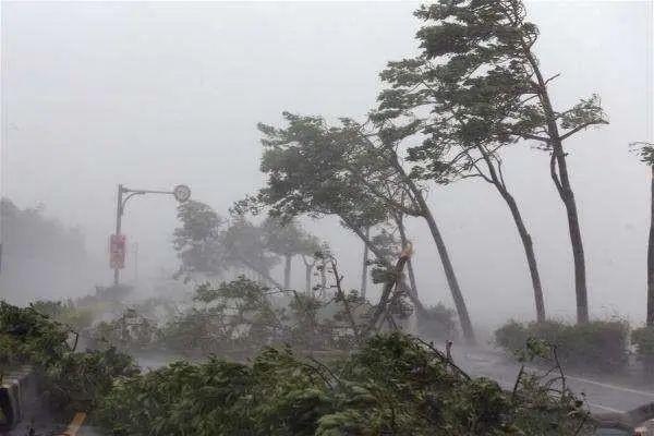 三登！台风“梅花”登陆青岛，接下来的途径会如何变动？