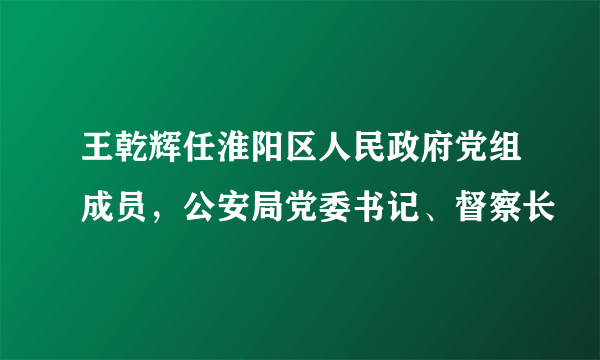 王乾辉任淮阳区人民政府党组成员，公安局党委书记、督察长